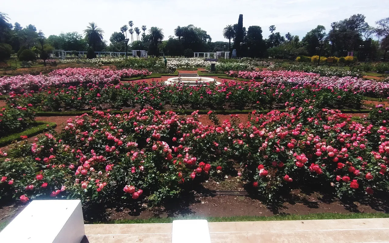 El Rosedal de Palermo, Palermo